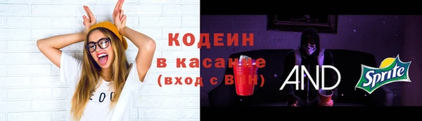 apvp Алзамай