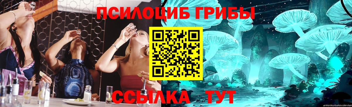 Галлюциногенные грибы мухоморы  купить наркотики сайты  Елабуга  Вход с VPN  Галлюциногенные грибы прущие грибы 