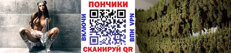 Каннабис семена  Елабуга 